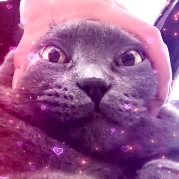 Meet your Posher, Jasmine - Picture 1 of 1